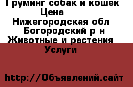 Груминг собак и кошек › Цена ­ 200 - Нижегородская обл., Богородский р-н Животные и растения » Услуги   